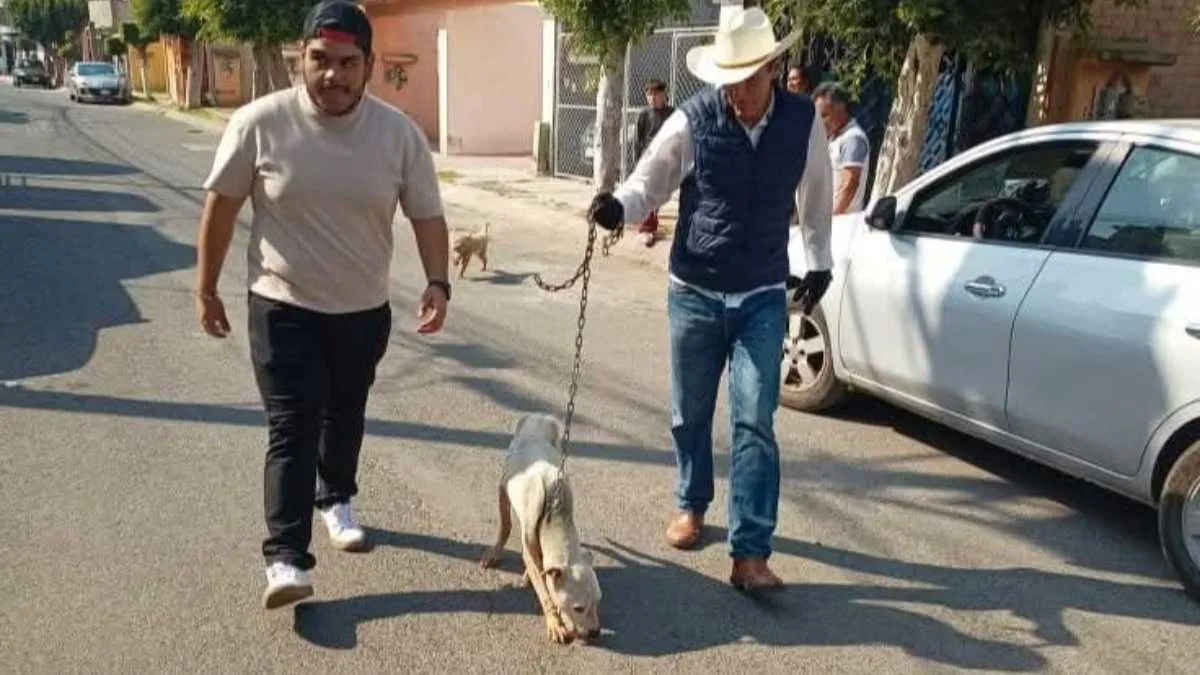 Vecinos de Ixtapaluca denuncian maltrato y envenenamiento de perros comunitarios