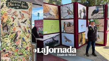 Ecatepec se convierte en la tercera Ciudad de las Aves en México