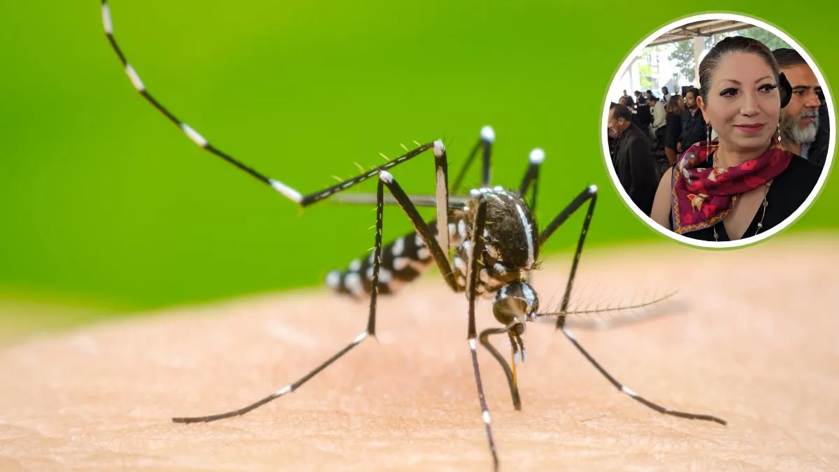Edomex registra 155 casos de dengue, 65 con signos de alerta o graves