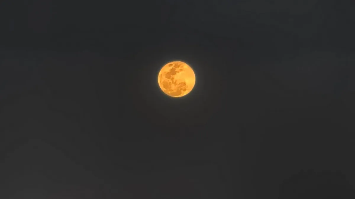 La Universidad Nacional Autónoma de México realizó una transmisión en vivo del eclipse a través de su página en Facebook.