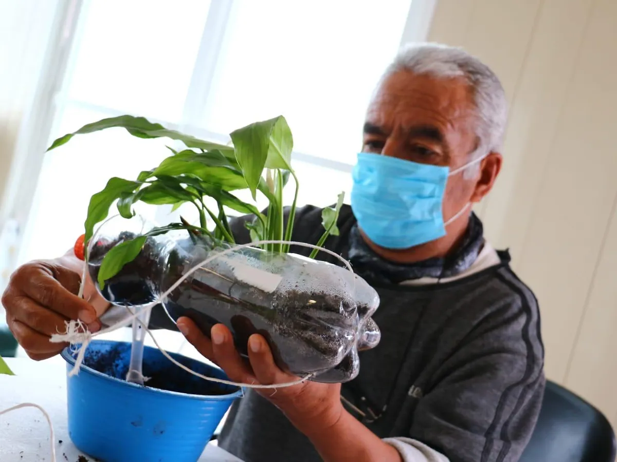 Naturoterapia, opción de salud para adultos mayores