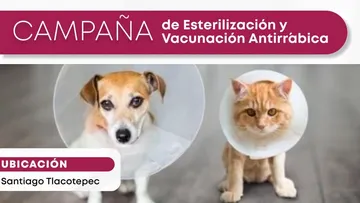 Campaña de esterilización llega a Santiago Tlacotepec, Toluca. Aquí todos los detalles