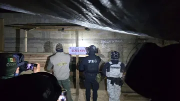 Aseguran dos predios en Ocuilan ligados a tala clandestina [VIDEO]