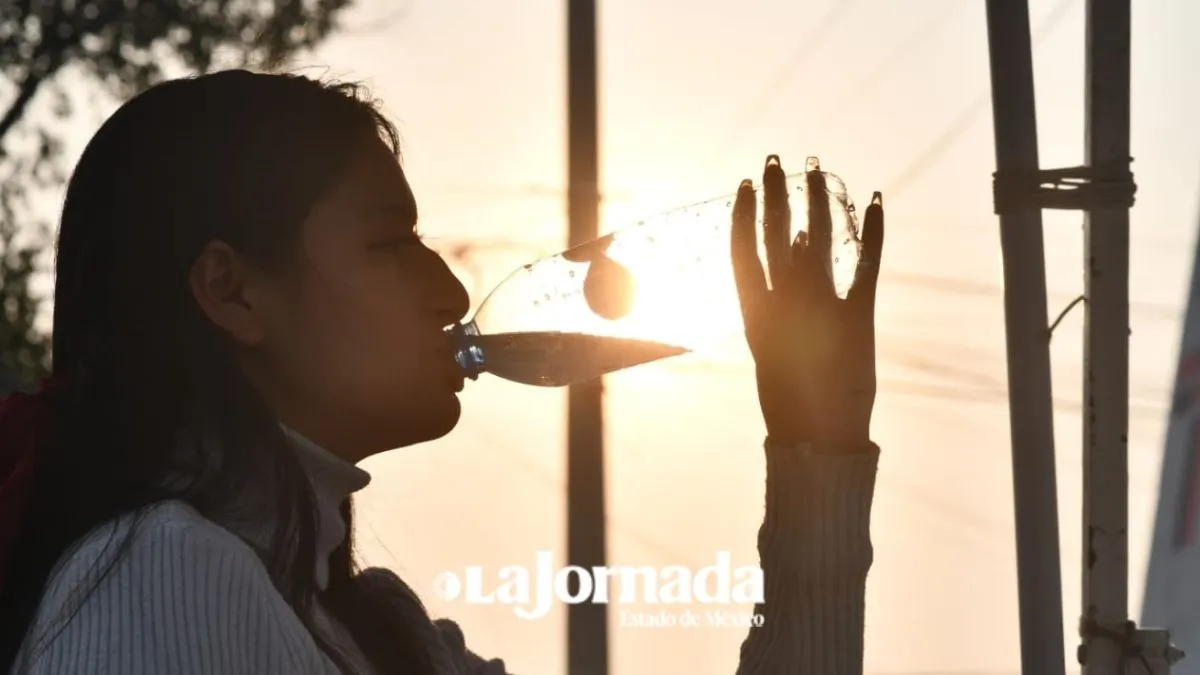Zona metropolitana ha incrementado su temperatura cuatro grados en 50 años