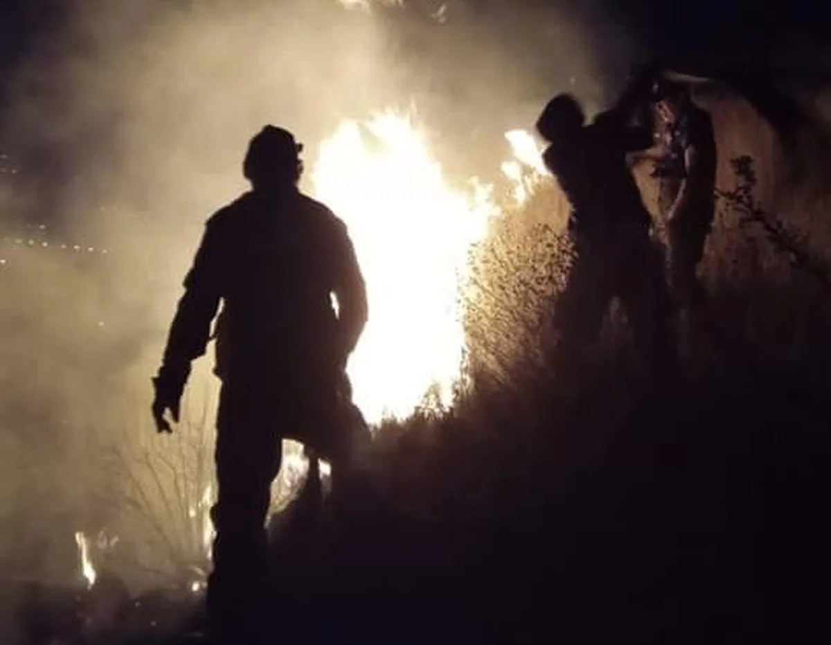 Tlalnepantla: Se incendian cuatro hectáreas de follaje