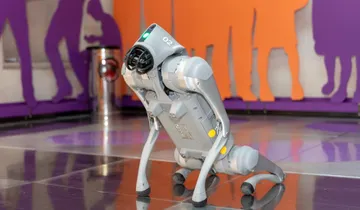 Cómo entrar gratis al Museo Interactivo de Economía (MIDE) esta semana