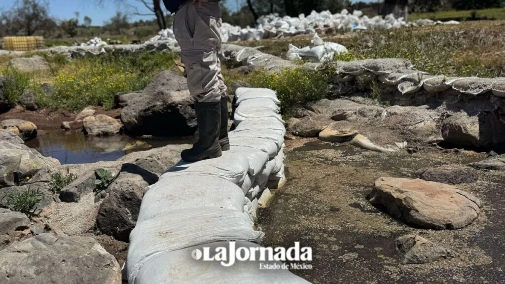 Persiste carencia de agua en Mexicaltongo al seguir contaminación de manantial
