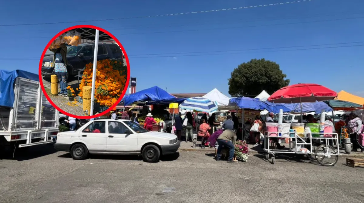 Aumenta demanda de fruta y sube el cempasúchil en el Mercado Juárez por Día de Muertos [Recorrido semanal]