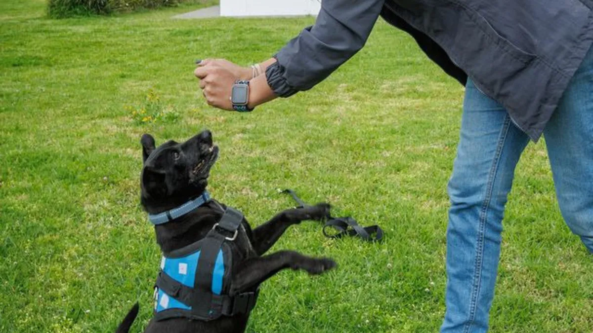 El proceso de duelo varía según el vínculo establecido con la mascota.