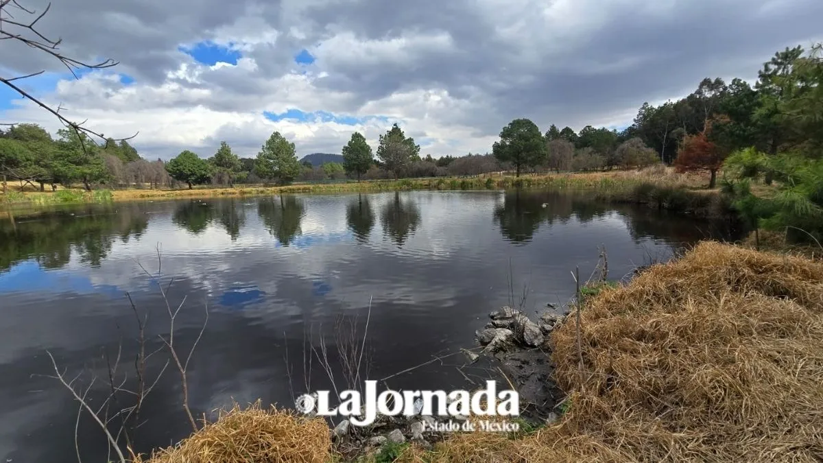 Crearán proyecto de tratamiento de agua en Alameda 2000 con inversión de mmdp