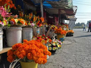 Flores para el día de muertos hasta 250 pesos en Edomex