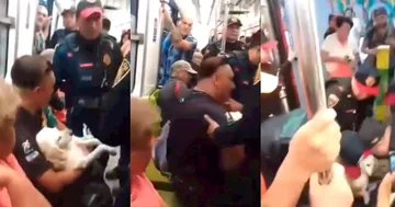 VIDEO: Policías sacan del Metro a hombre que llevaba a su perrito herido; ya los investigan