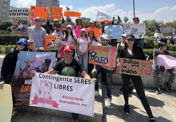 Activistas exigen castigo por nuevo caso de maltrato en Ixtapaluca