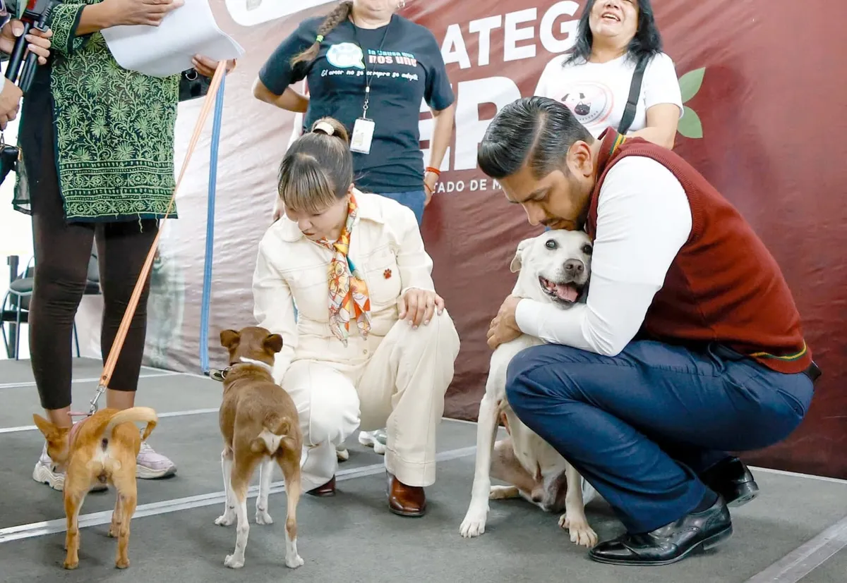 Estrategia CERA en Nezahualcóyotl: Cómo funciona el plan para controlar la población animal