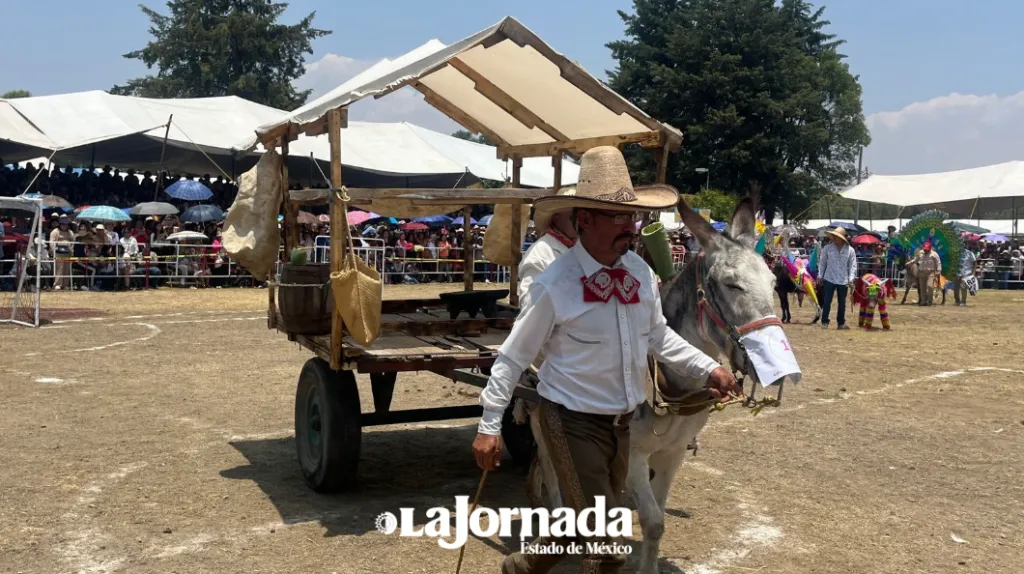 Otumba: Burros Piñata conquistan la Feria Nacional del Burro