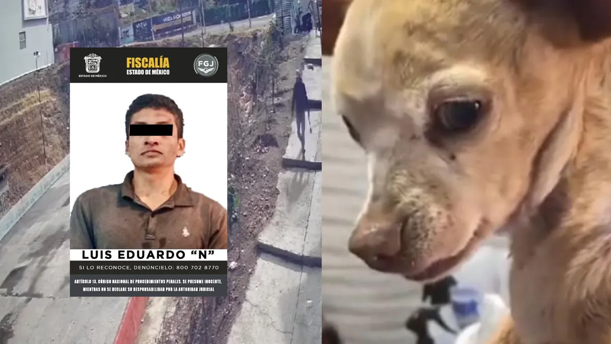 [VIDEO] Vinculan a proceso a agresor de una perrita chihuahua en Edomex