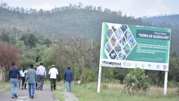 Vecinos denuncian presunta urbanización ilegal en la Sierra de Guadalupe; levantan evidencias de daños ambientales