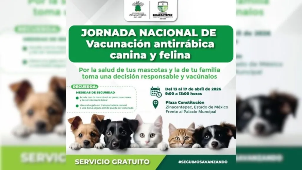 Zinacantepec realiza jornada de vacunación antirrábica para perros y gatos