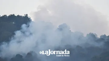 Incendios en Edomex ocupan 70% de la superficie forestal: Probosque