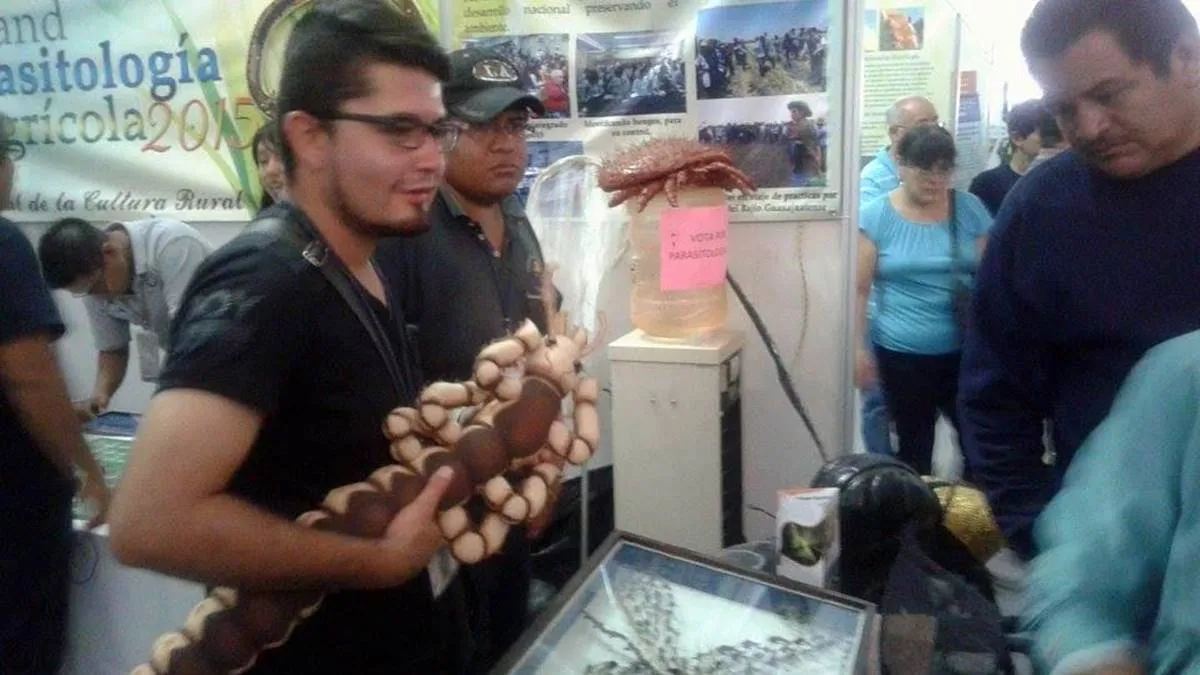 Son 13 estudiantes extranjeros que estudian Parasitología en Chapingo