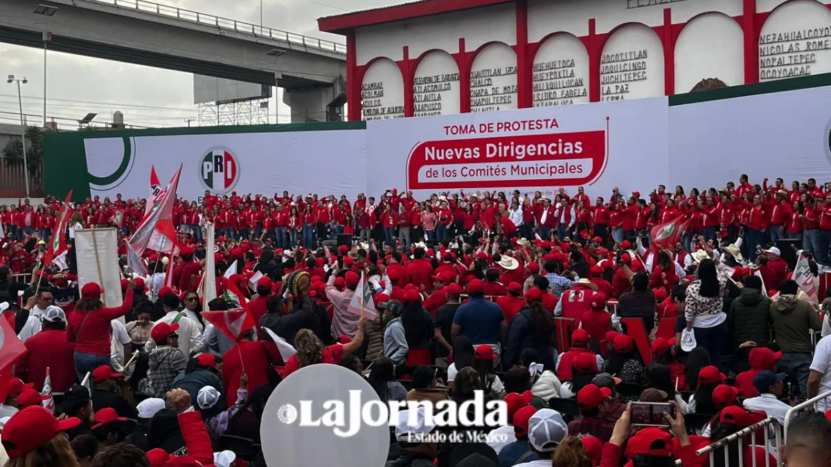 Toman protesta Comités Municipales del PRI