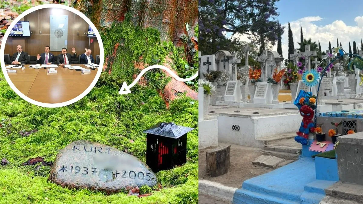 ¿Cementerios verdes en Edomex? Legisladores respaldan propuesta para convertir panteones en santuarios