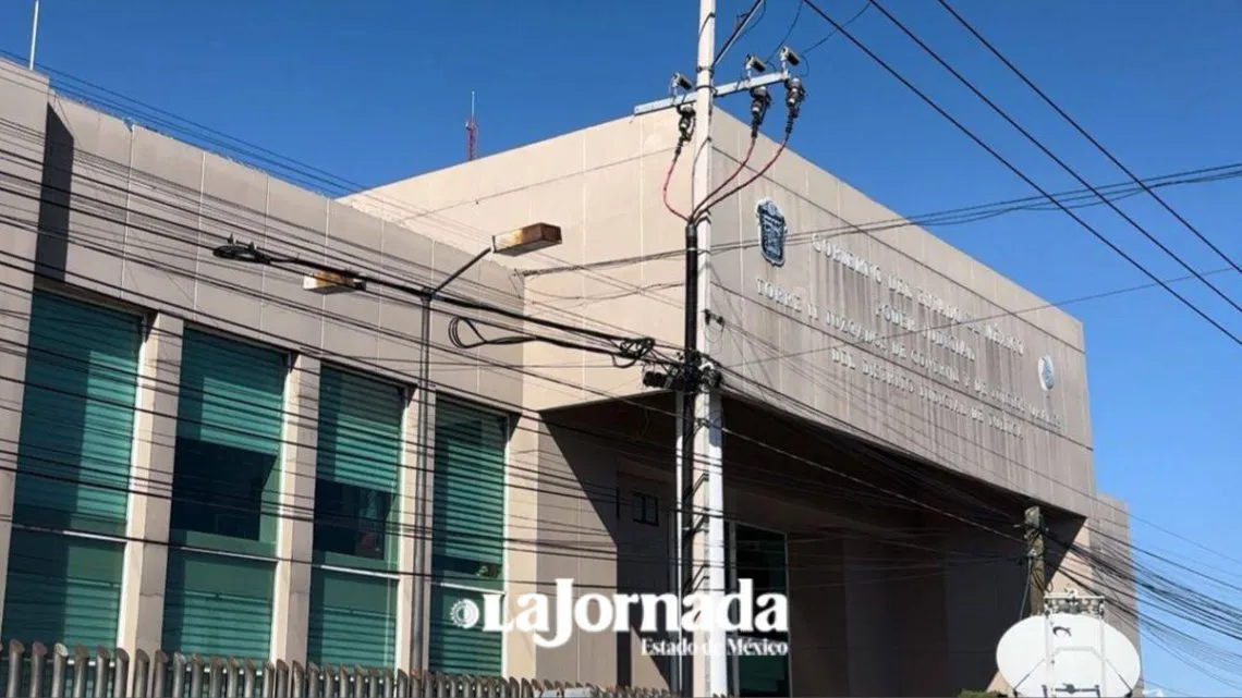 Operativo Enjambre: Delitos de los que acusan a alcaldesa de Amanalco y a comisarios
