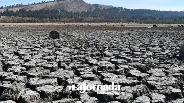 Toluca: Laguna del parque Sierra Morelos se seca