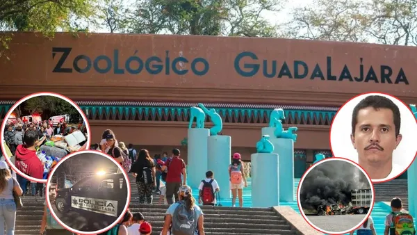 Turistas se quedaron atrapados en el zoológico de Guadalajara tras ataques en Jalisco