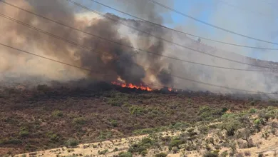 En lo que va de 2026, se han contabilizado 70 siniestros de este tipo, cifra superior a la registrada en el mismo periodo del año pasado.