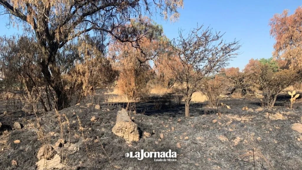 Incendio de pastizales afecta la zona arqueológica de Teotihuacán