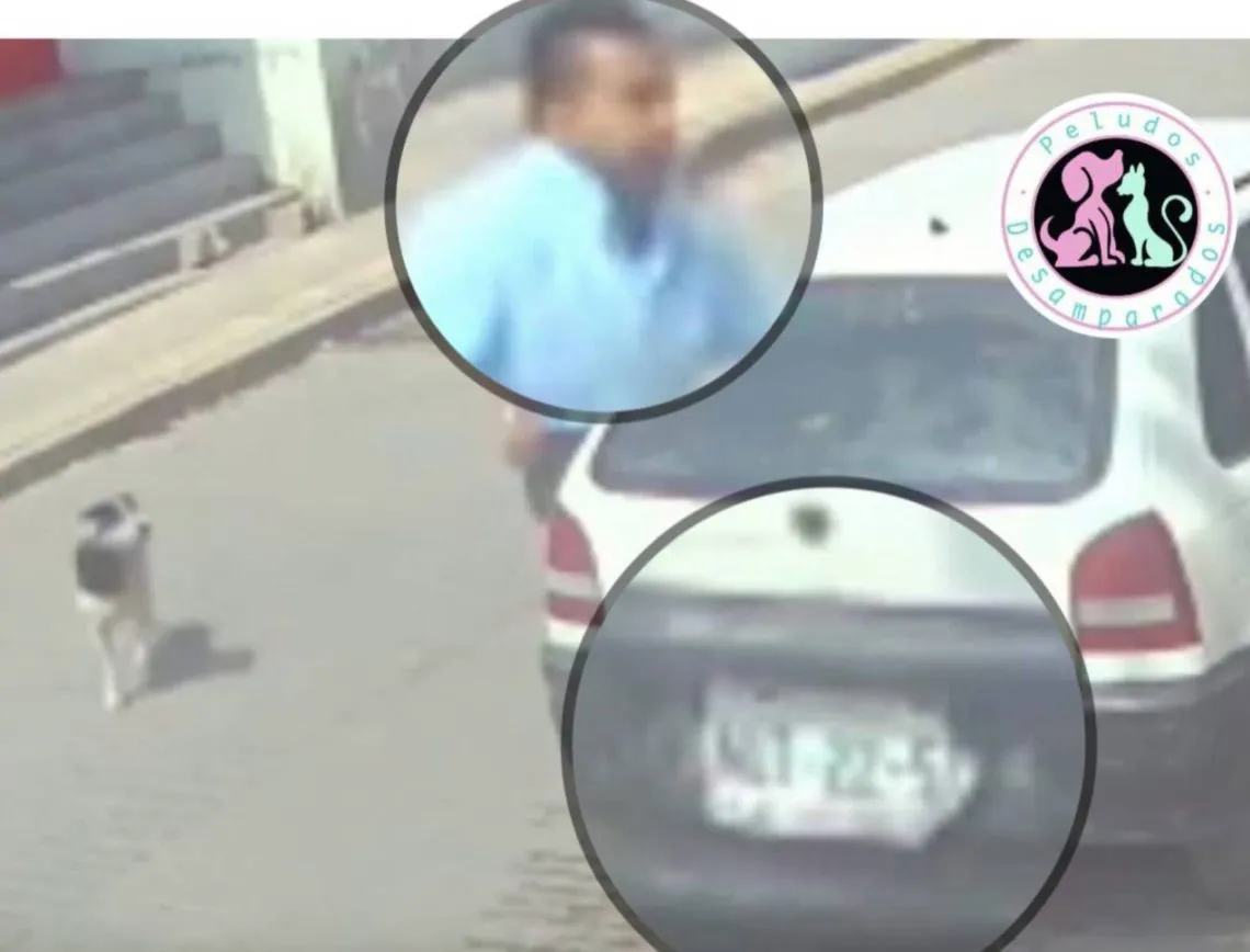 SSPC busca al hombre que lanzó un perrito a cazo con aceite en Tecámac