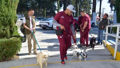 En cada visita, los perritos brindan acompañamiento emocional a por lo menos seis pacientes.