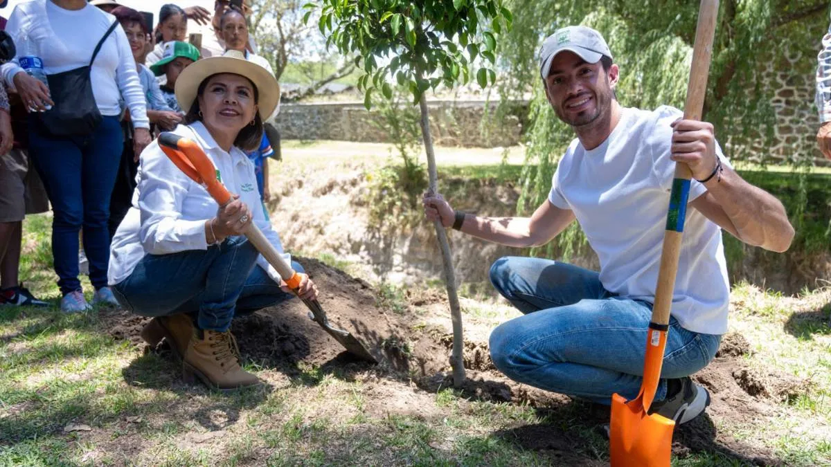 Arranca PVEM gira de agradecimiento y reforestación demás de 700 mil árboles