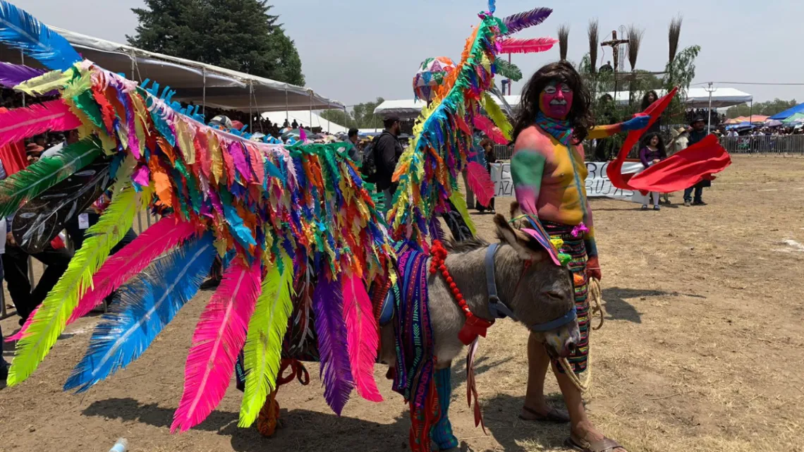 ”Cazador de Brujas” gana concurso de Burros disfrazados en Otumba”