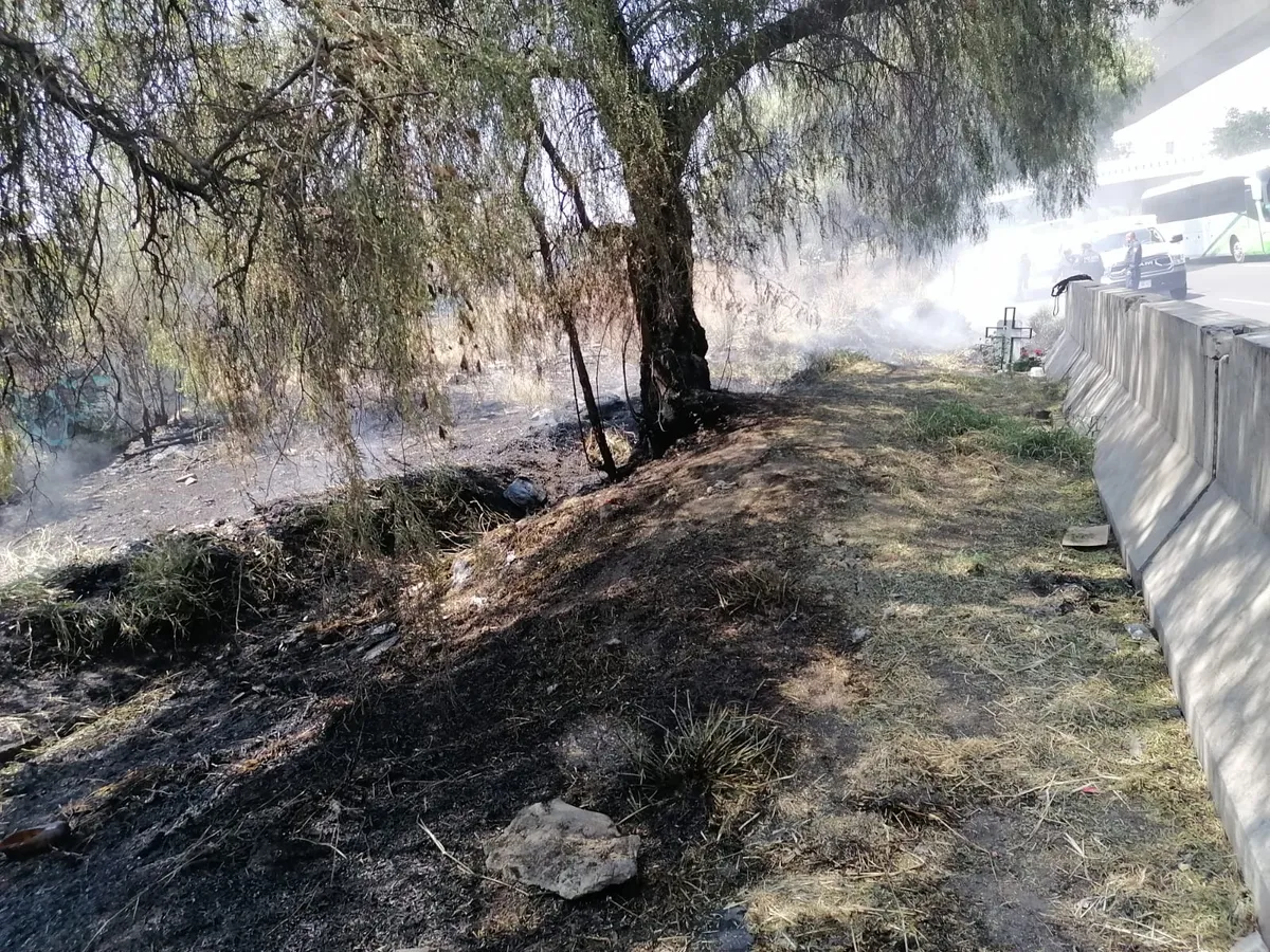 Suman 600 hectáreas de bosques afectados en Jilotzingo