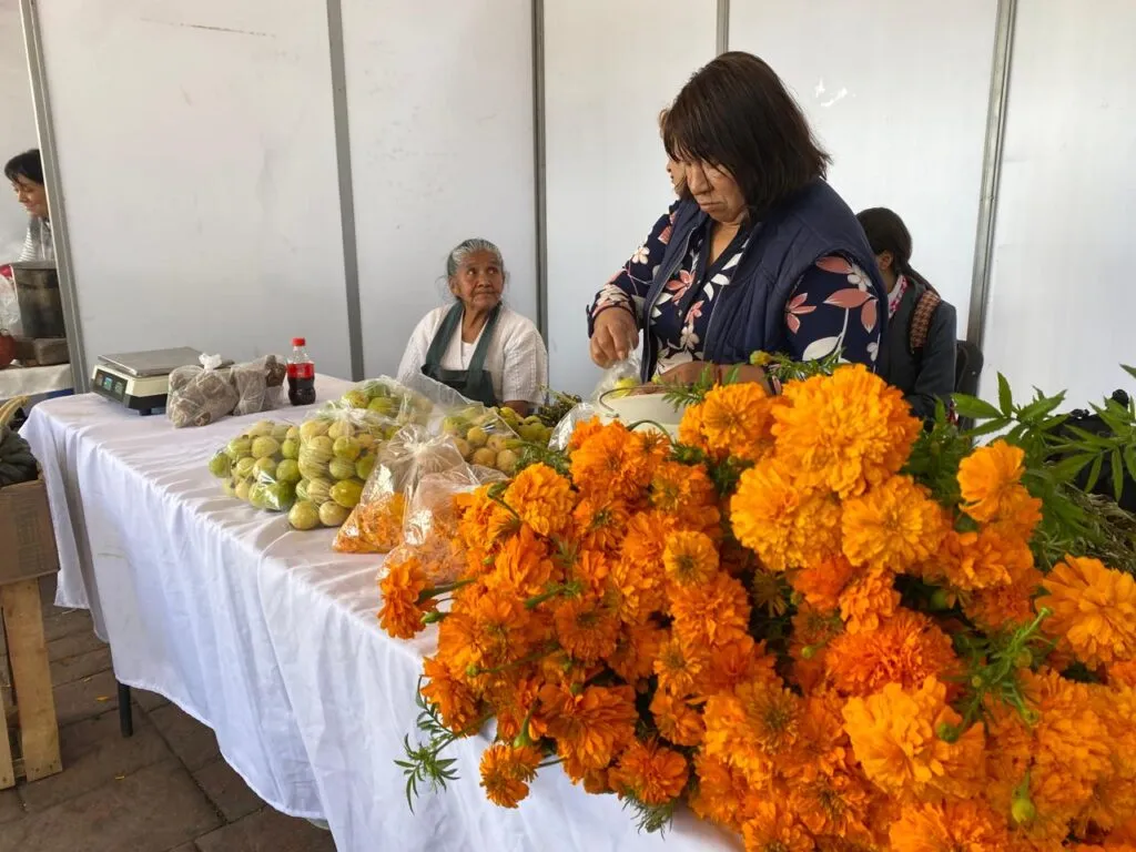 Preservan en Chimalhuacán cultivo de flor de cempasúchil