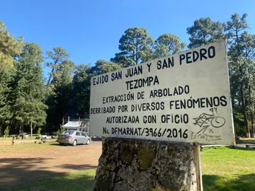 Destituyen a comisariado ejidal de Tezompa en Chalco por tala desmedida en El Ocotal