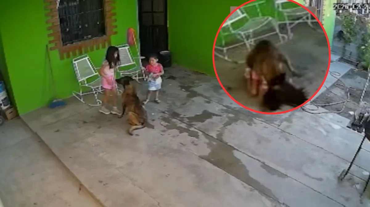 ¡Ataque de perro en Coahuila! Niña de 7 años sobrevive a 68 puntos de sutura