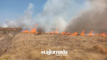 Se registra incendio de pastizal en el Lago de Texcoco