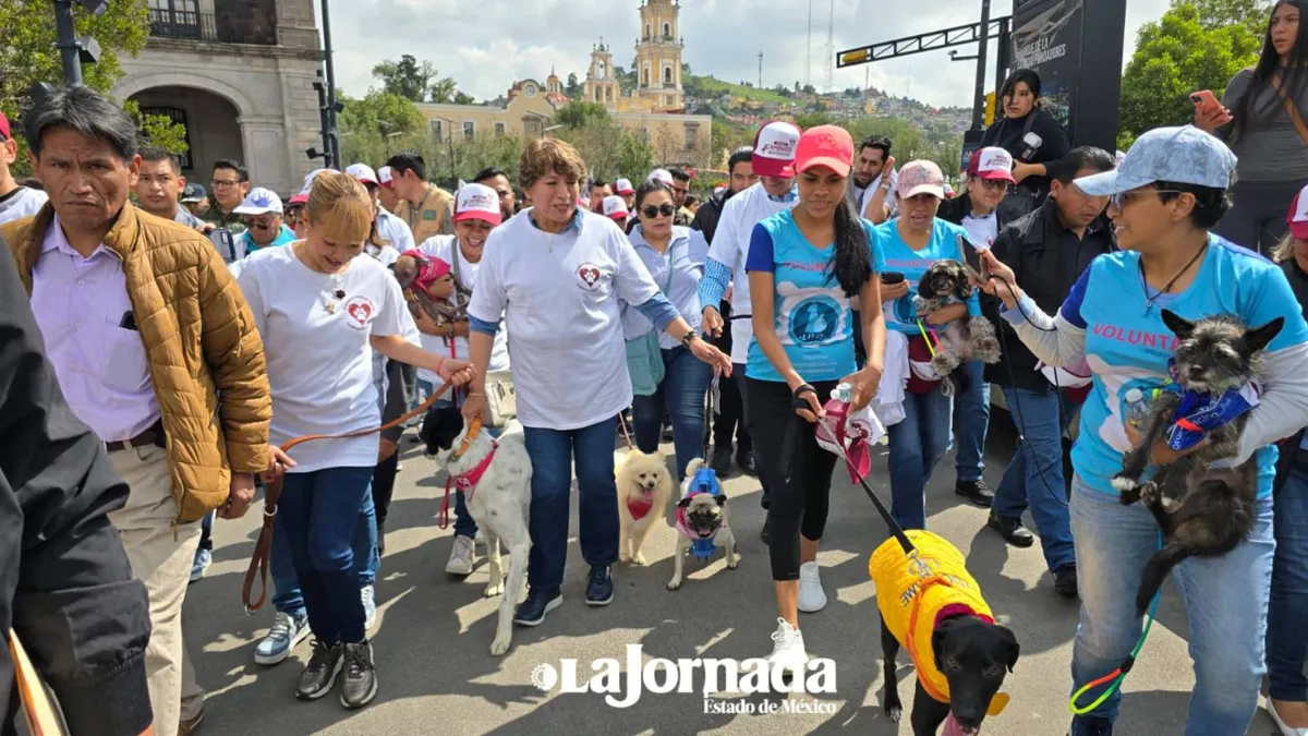 Toluca: Encabeza Delfina Gómez 1er Caminata por el Bienestar Animal
