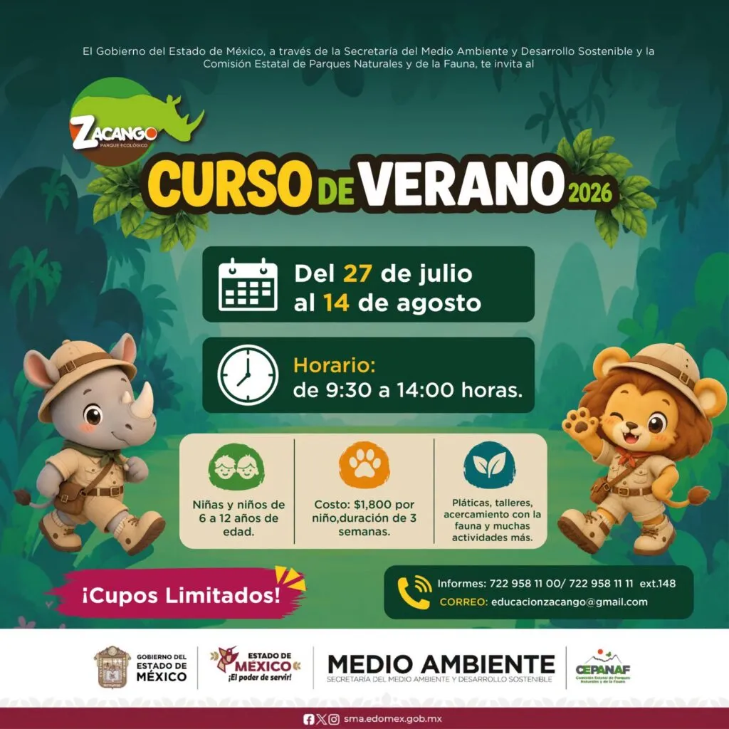 Habrá curso de verano para niños en Zacango