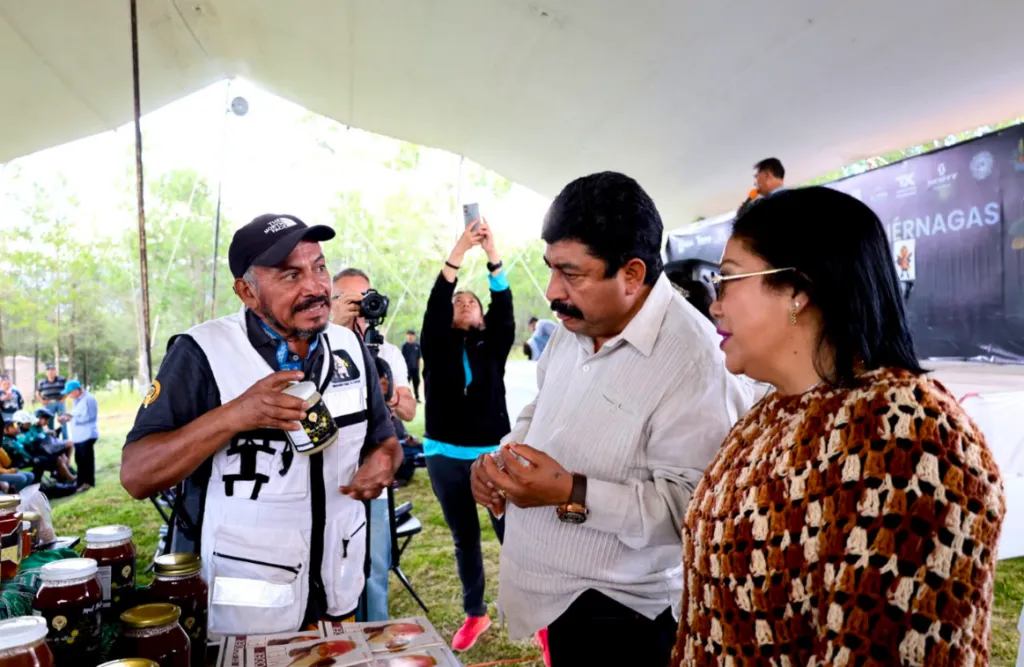 Texcoco inicia la temporada de avistamiento de luciérnagas 2026