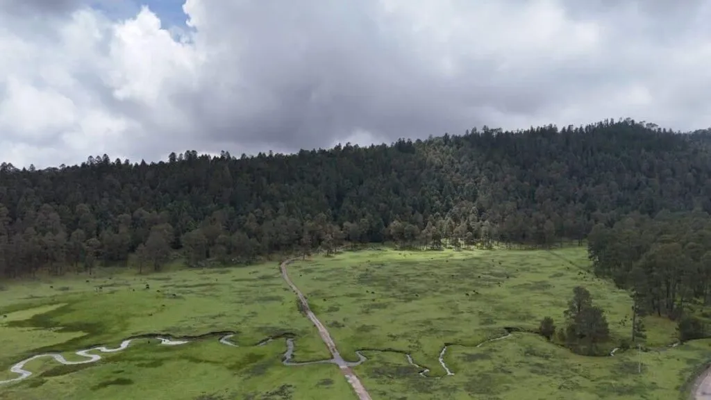 Ejido de Río Frío reclama bosque de Chapingo, pero no acredita su posesión legal