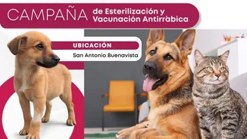Campaña de esterilización gratuita en San Antonio Buenavista. Aquí todos los detalles