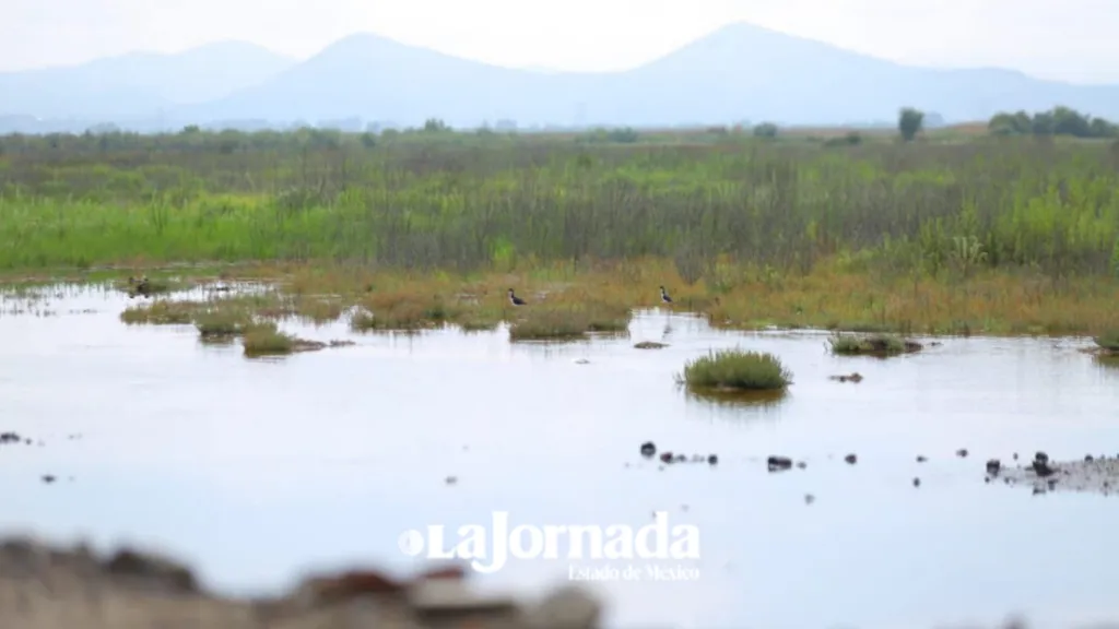 El Caracol será un vaso regulador para frenar inundaciones en Ecatepec