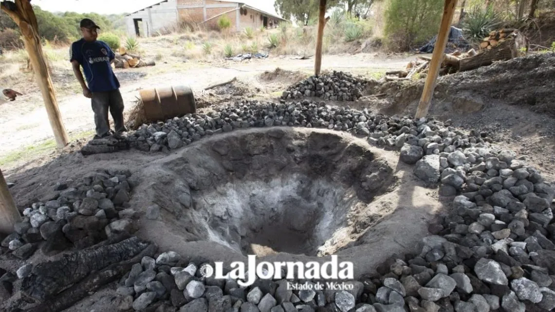 Edomex: Publican exhorto para resolver litigio de denominación de origen de mezcal mexiquense