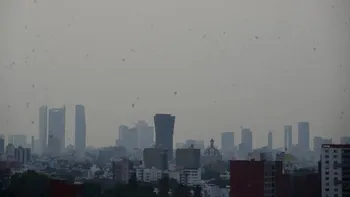 La Contingencia Ambiental continúa en el Valle de México y activa restricciones vehiculares sobre qué autos no circulan.