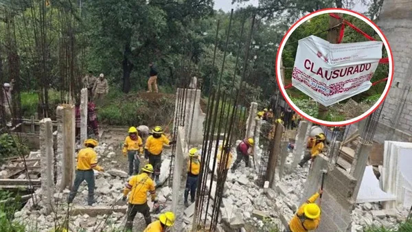 CDMX: Demuelen viviendas en zona protegida