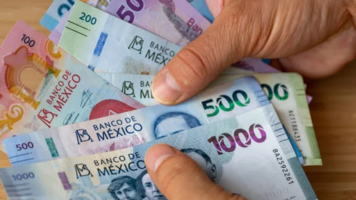 ¿Te toca prima vacacional? ¿cuánto te toca?